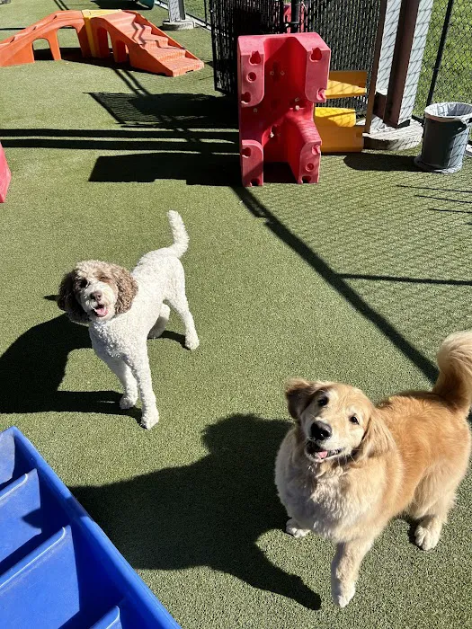 Comal Pet Hospital & Resort 6
