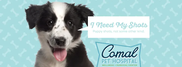 Comal Pet Hospital & Resort 2