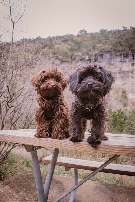 i35 MarketPlace Animal Hospital 7
