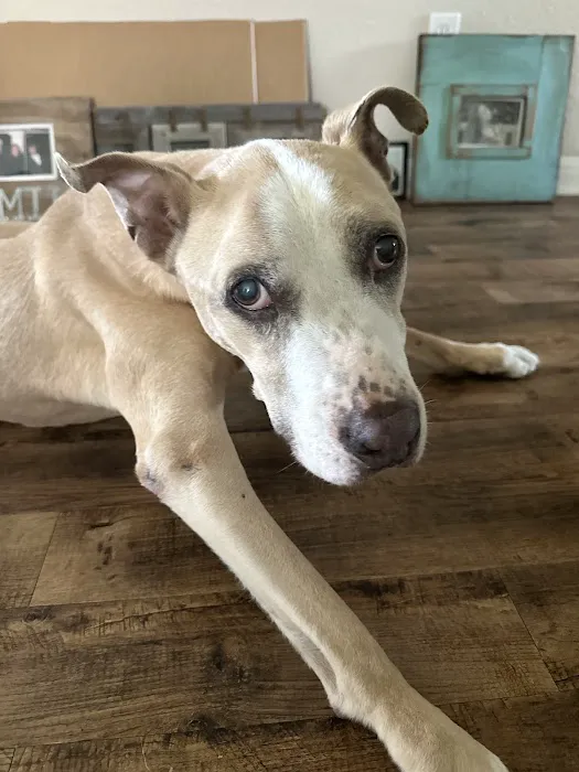 i35 MarketPlace Animal Hospital 1