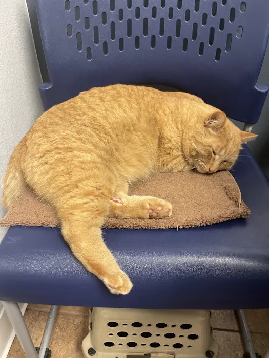 NB Animal Urgent Care 4