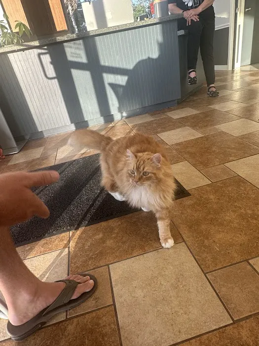 NB Animal Urgent Care 2