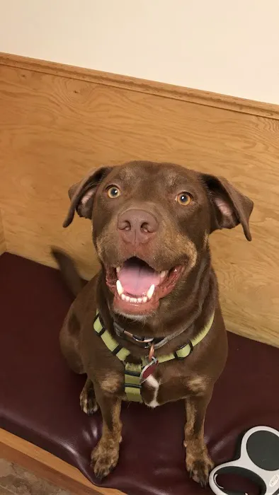 NB Animal Urgent Care 1