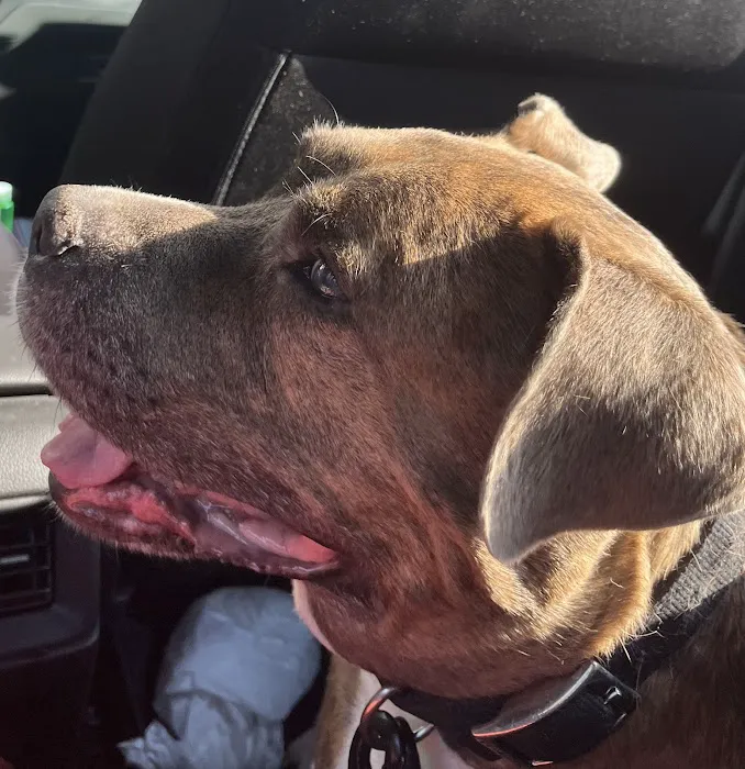 NB Animal Urgent Care 6