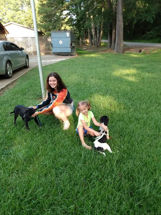 Animal Hospital-Walker Co Inc 10