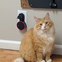 Jasper Veterinary Clinic ico