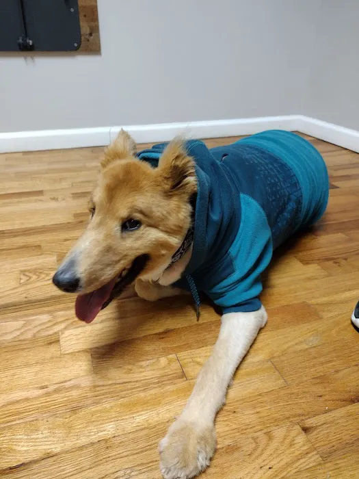 Jasper Veterinary Clinic 4