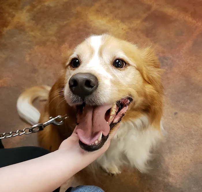 Farmstead Veterinary Medical Center 10
