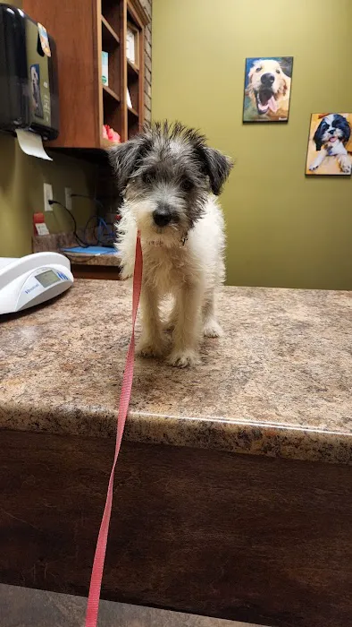 Farmstead Veterinary Medical Center 8