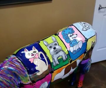 Farmstead Veterinary Medical Center