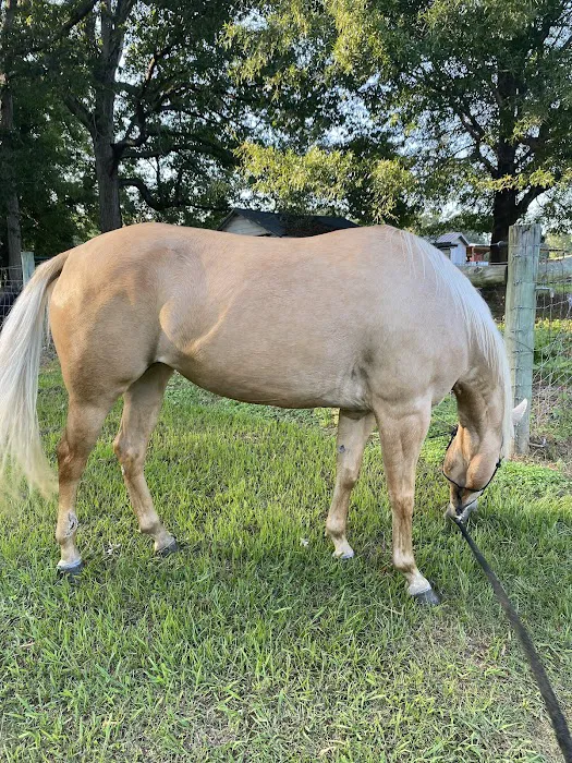 Davie County Large Animal 1