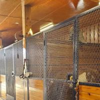 Greystone Veterinary Service ico