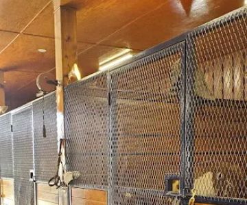 Greystone Veterinary Service