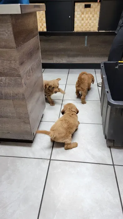 Hillsdale Animal Hospital 8