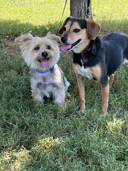 Hillsdale Animal Hospital 9