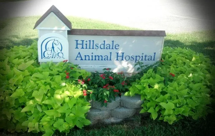 Hillsdale Animal Hospital - Violet Kirk, DVM 2