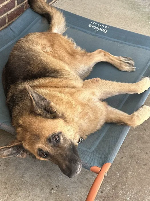 Grandview Animal Hospital 7