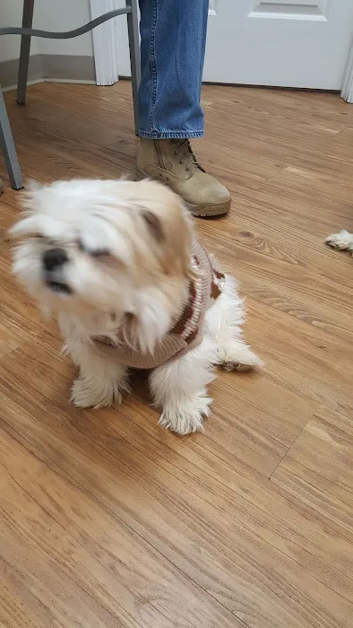 Grandview Animal Hospital 2