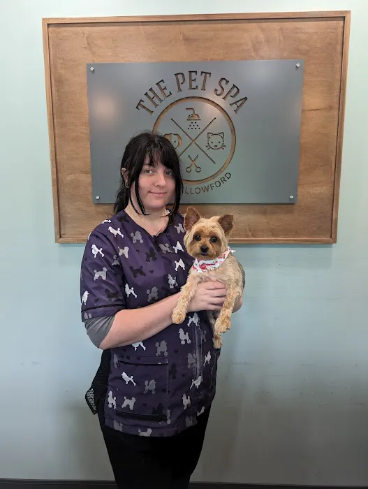 Shallowford Animal Hospital 7