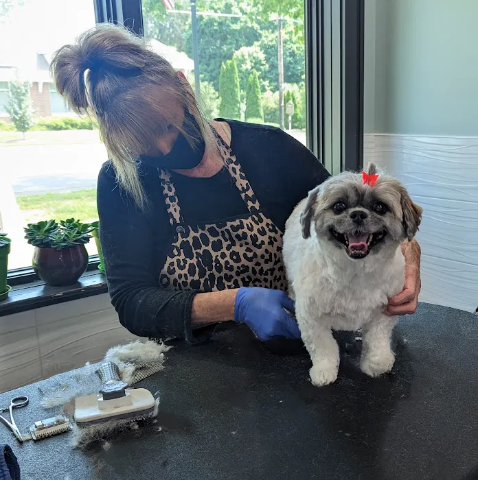 Shallowford Animal Hospital 9