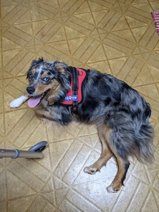 Surry Spay/Neuter Clinic 5