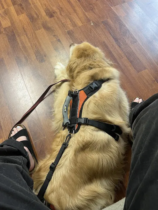 Surry Spay/Neuter Clinic 3