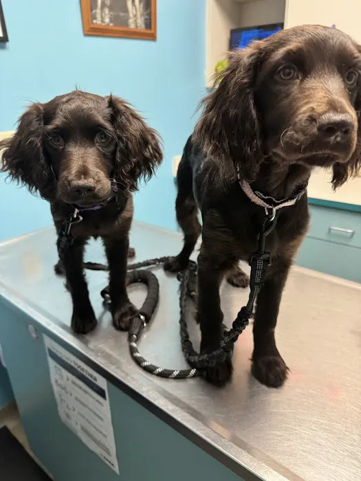 Wilkes Veterinary Hospital 3