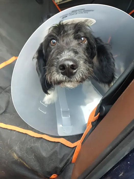 Wilkes Veterinary Hospital 1