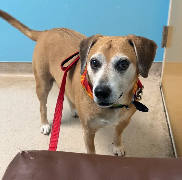 Wilkes Veterinary Hospital 5