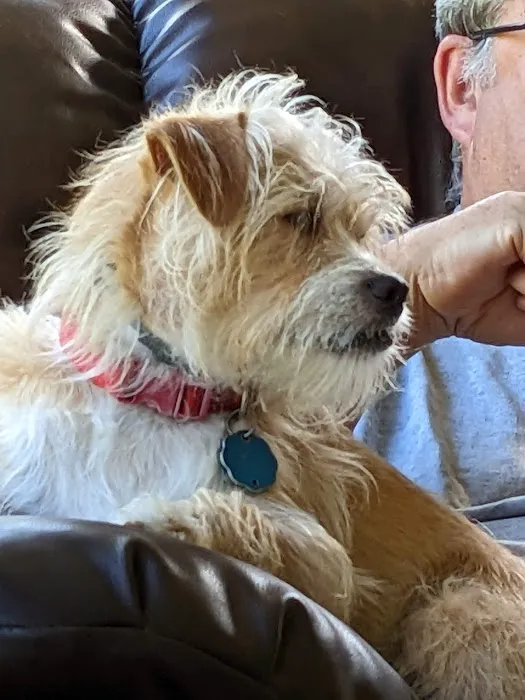 Foothills Pet Healthcare Clinic 4