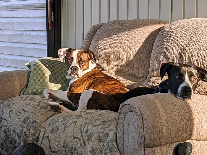 Foothills Pet Healthcare Clinic 8