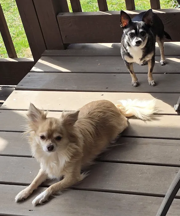 Lake Hickory Veterinary Hospital 8
