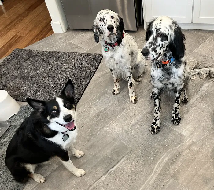 Cascade Summit Animal Hospital 1