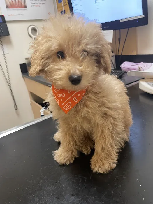 Banfield Pet Hospital 12
