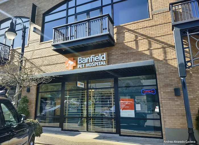 Banfield Pet Hospital 12