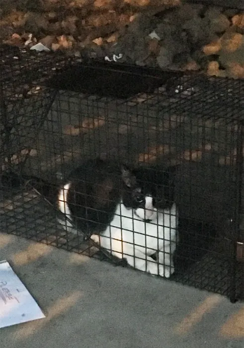 Banfield Pet Hospital 12