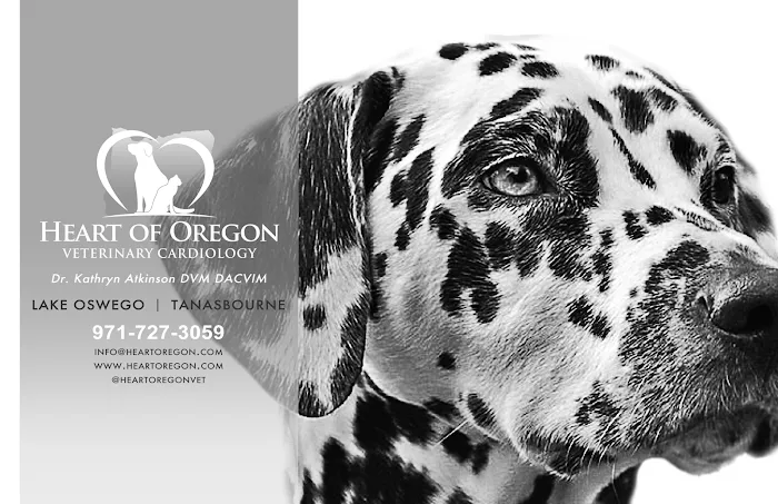 Heart of Oregon Veterinary Cardiology 5