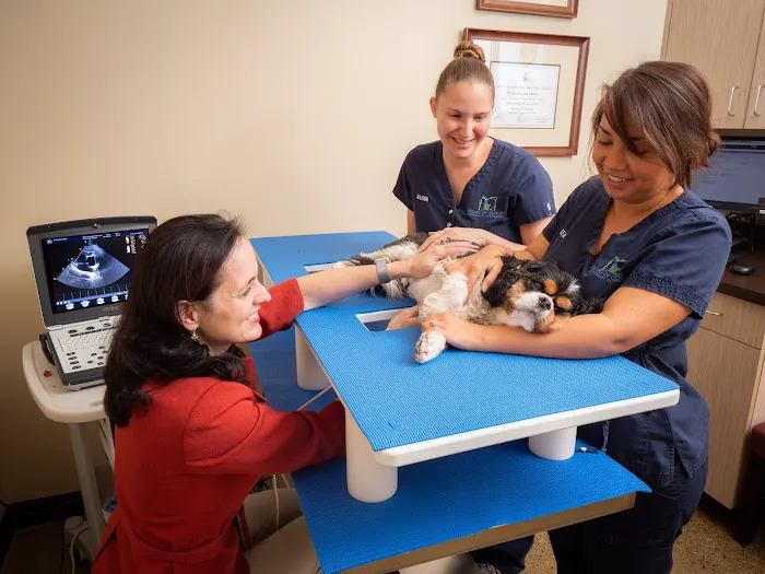 Heart of Oregon Veterinary Cardiology 10