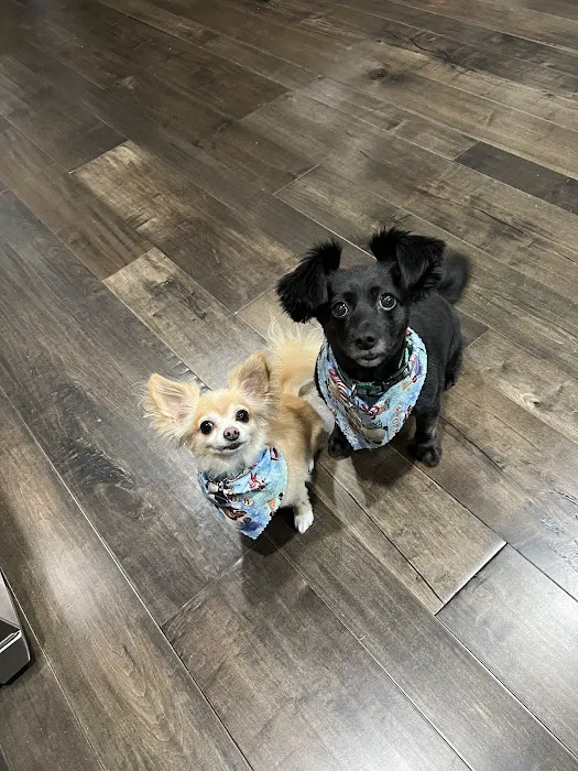 Sunnyside Veterinary Hospital 9