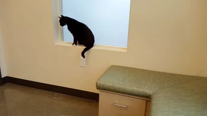 Sunnyside Veterinary Hospital 6
