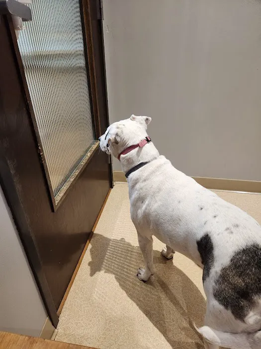 Happy Valley Veterinary Hospital 3