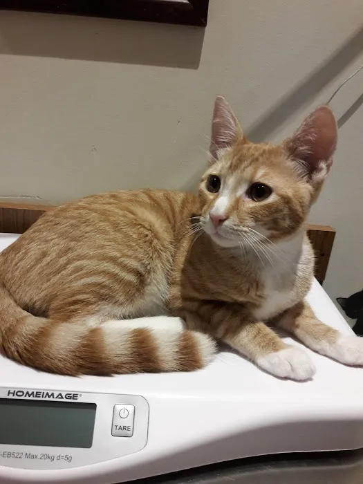 Happy Valley Veterinary Hospital 5