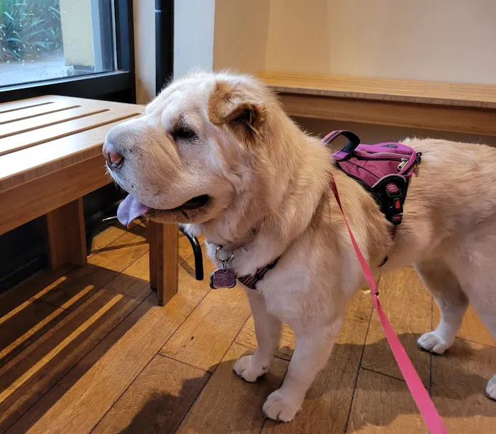 Happy Valley Veterinary Hospital 1