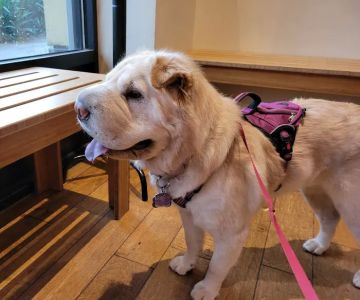 Happy Valley Veterinary Hospital