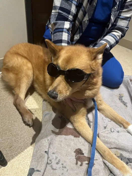 Happy Valley Veterinary Hospital 6