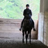 Oregon Equine ico