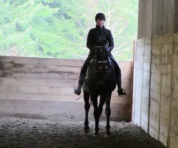 Oregon Equine