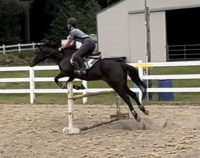 Oregon Equine 3