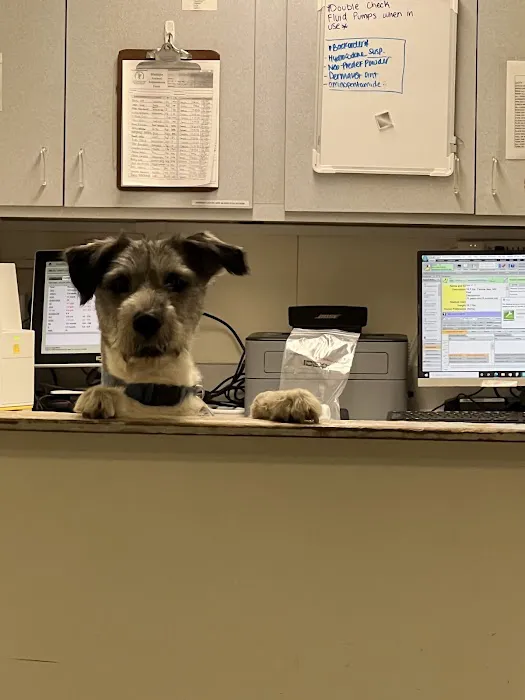 Canyon Animal Hospital 3