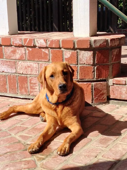Canyon Animal Hospital 7